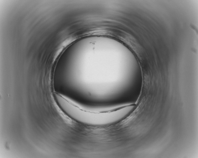 X0000095901426200802011118