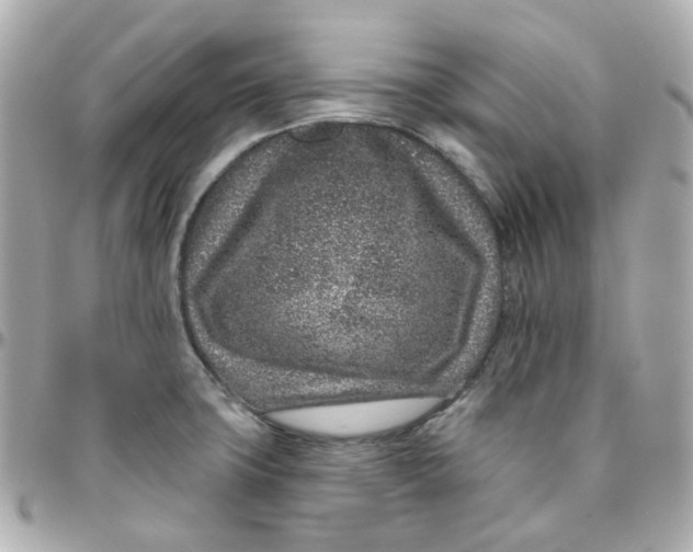 X0000095901427200802011118