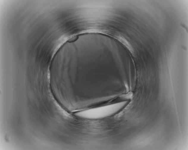 X0000095901428200802011118