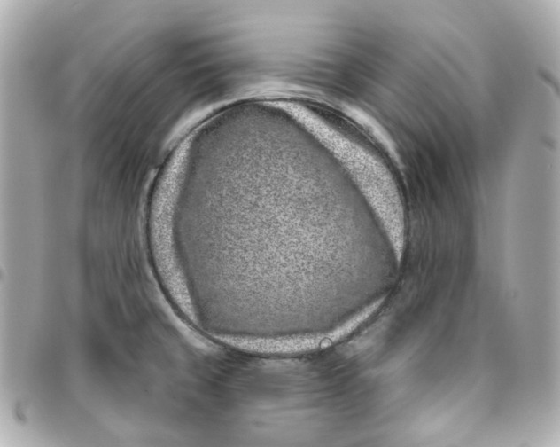 X0000095901429200802011118