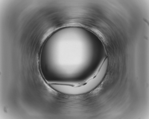 X0000095901430200802011118