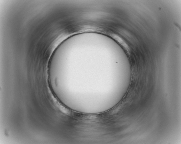 X0000095901431200802011118