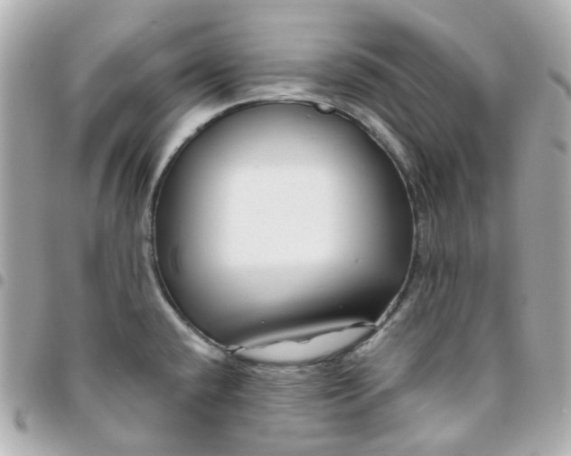 X0000095901432200802011118