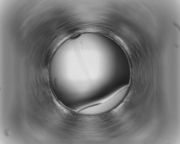 X0000095901433200802011118