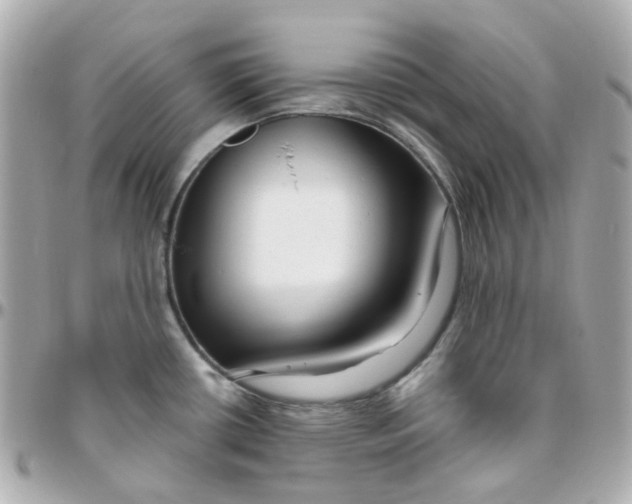 X0000095901434200802011118