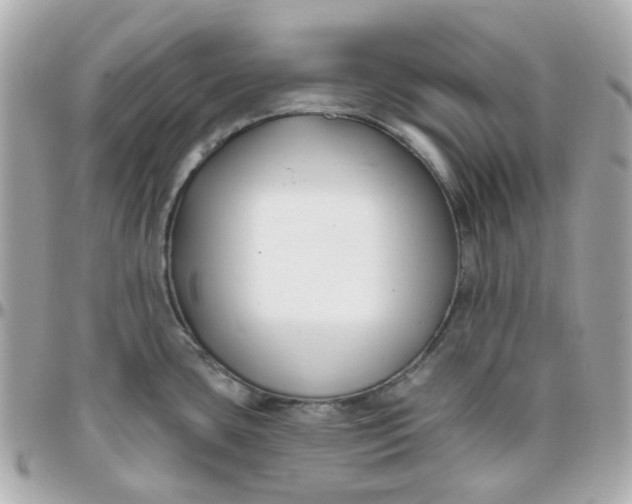 X0000095901435200802011118