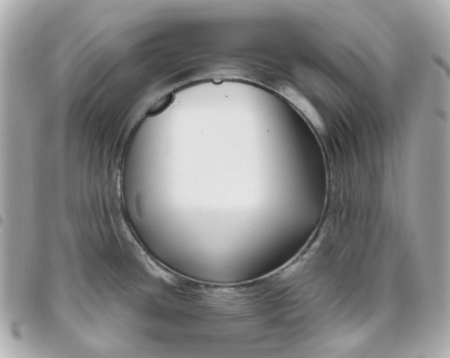 X0000095901436200802011118