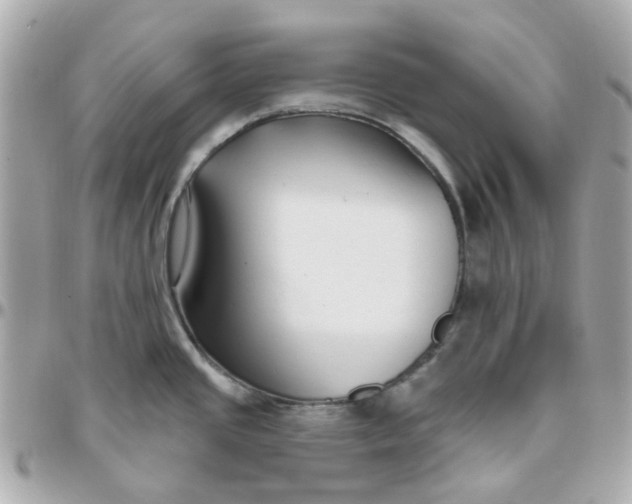 X0000095901437200802011118