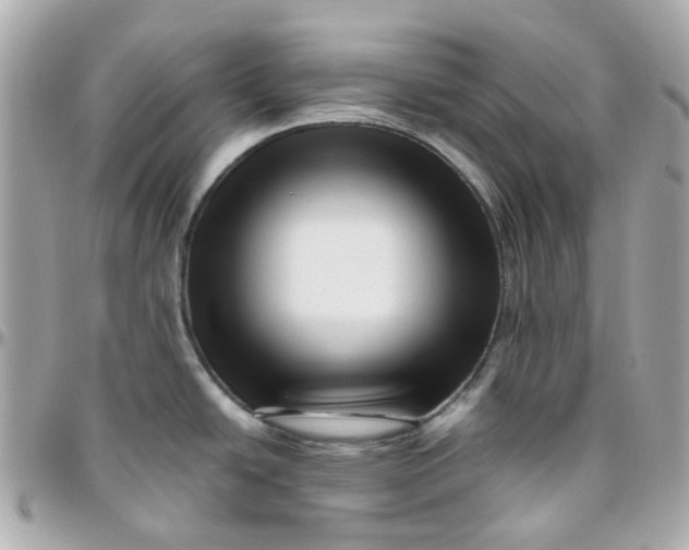 X0000095901438200802011118