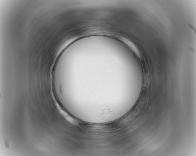 X0000095901439200802011118