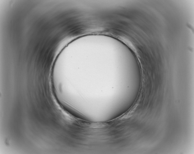 X0000095901440200802011118