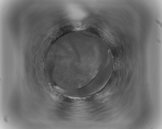 X0000095901441200802011118