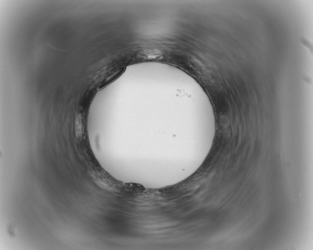 X0000095901442200802011118