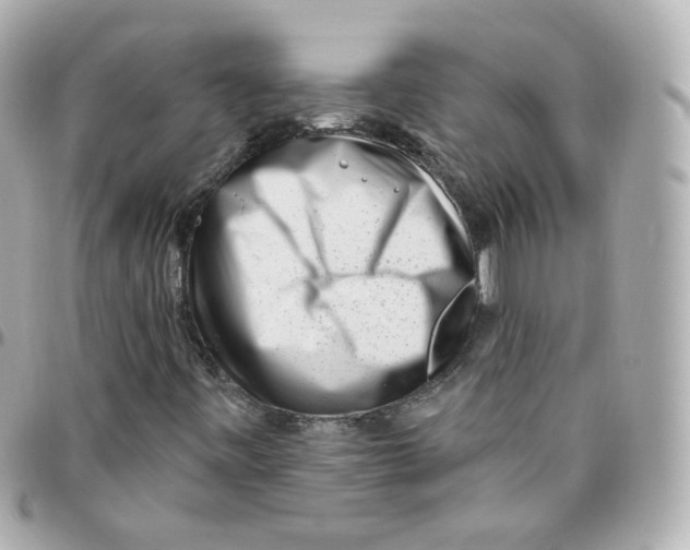 X0000095901443200802011118