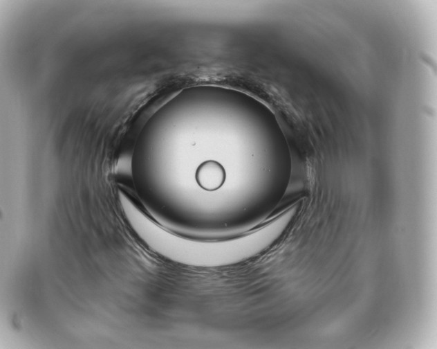 X0000095901444200802011118