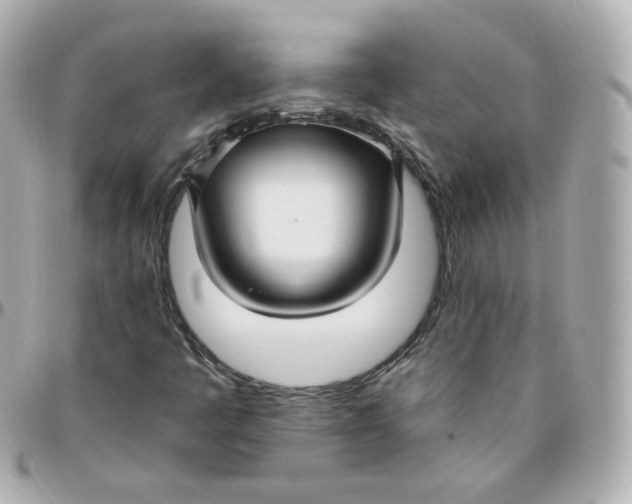 X0000095901445200802011118