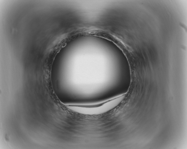 X0000095901447200802011118