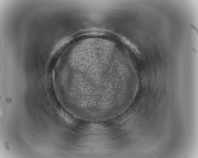 X0000095901448200802011118