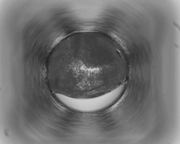 X0000095901449200802011118