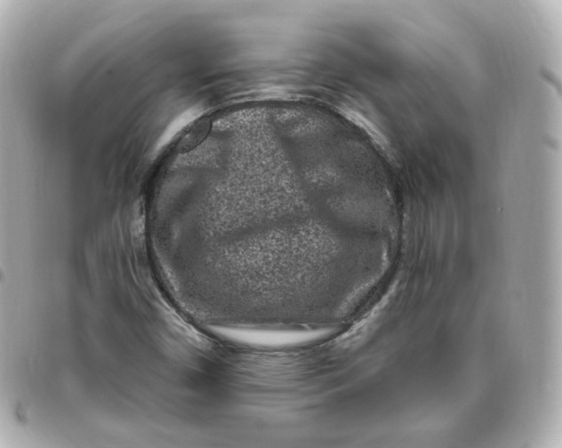 X0000095901450200802011118