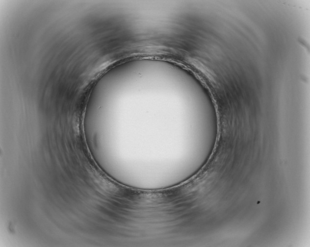 X0000095901451200802011118