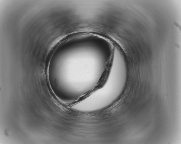 X0000095901452200802011118