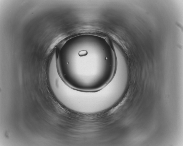 X0000095901453200802011118