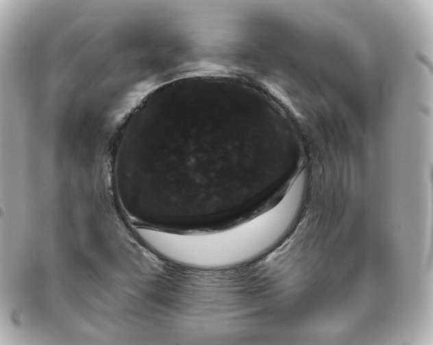 X0000095901455200802011118