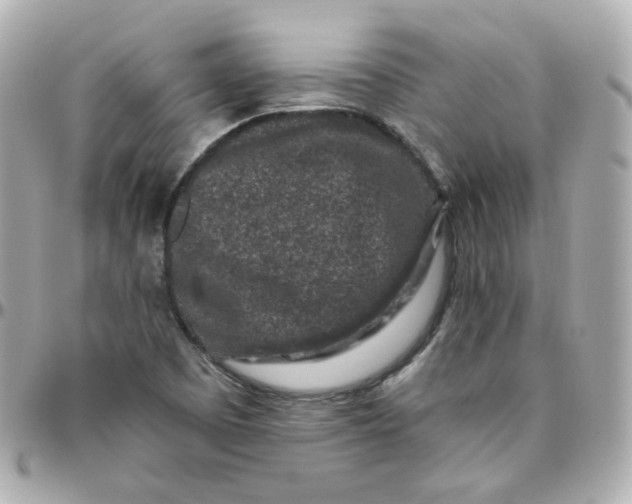 X0000095901457200802011118