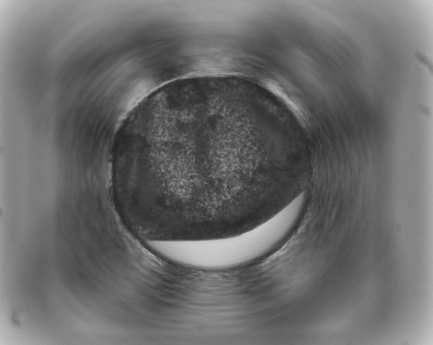 X0000095901459200802011118