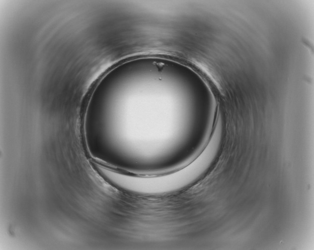 X0000095901460200802011118