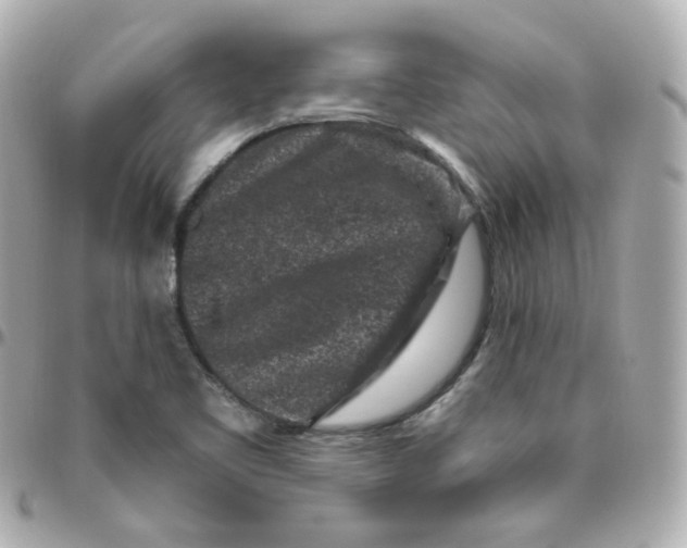 X0000095901461200802011118