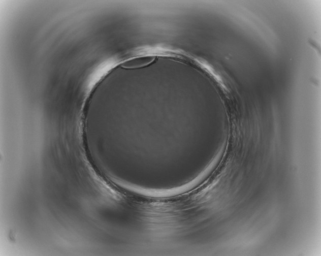 X0000095901463200802011118