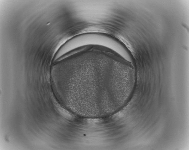 X0000095901465200802011117