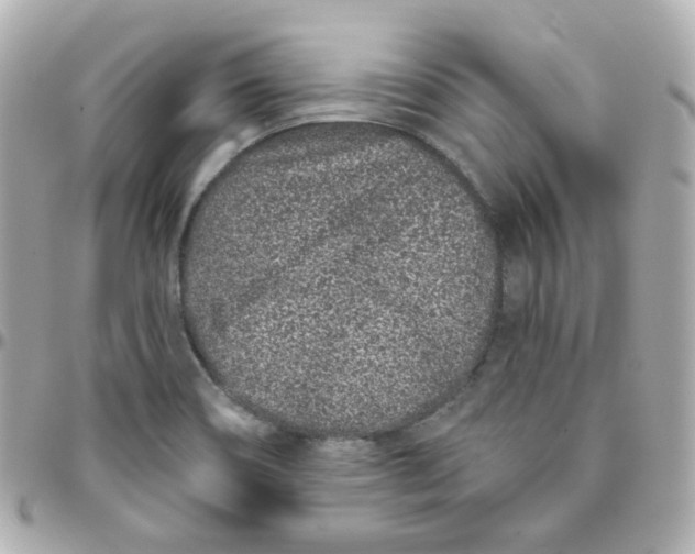 X0000095901466200802011117