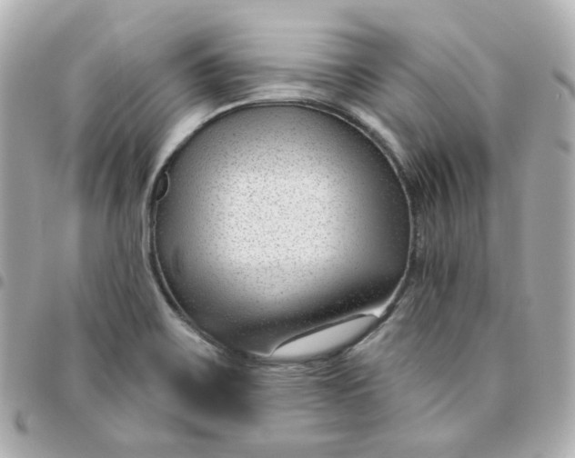 X0000095901467200802011117