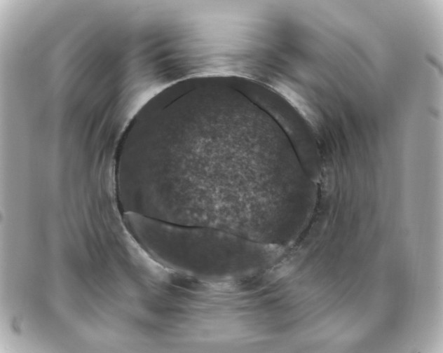 X0000095901468200802011117