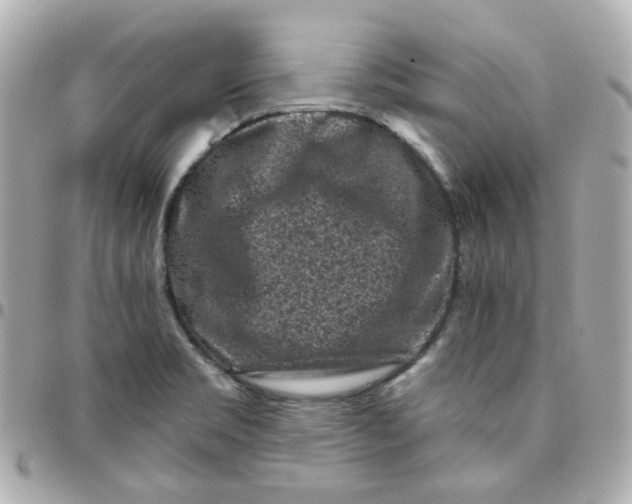 X0000095901469200802011117