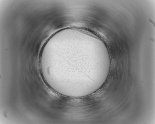 X0000095901470200802011117