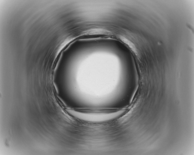 X0000095901473200802011117