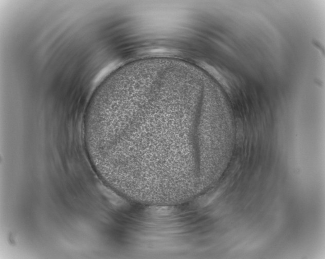 X0000095901474200802011117