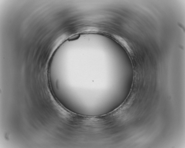 X0000095901475200802011117