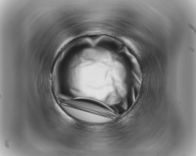 X0000095901476200802011117