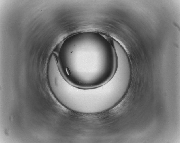 X0000095901477200802011117