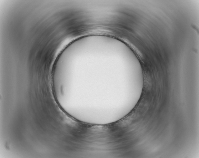 X0000095901478200802011117