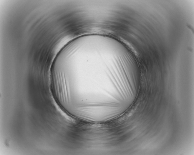 X0000095901479200802011117