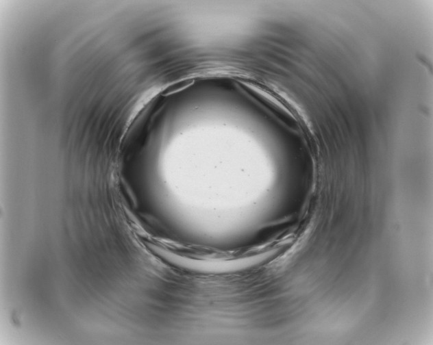 X0000095901481200802011117