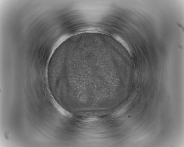 X0000095901482200802011117