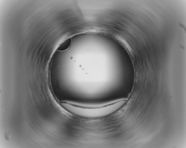 X0000095901483200802011117