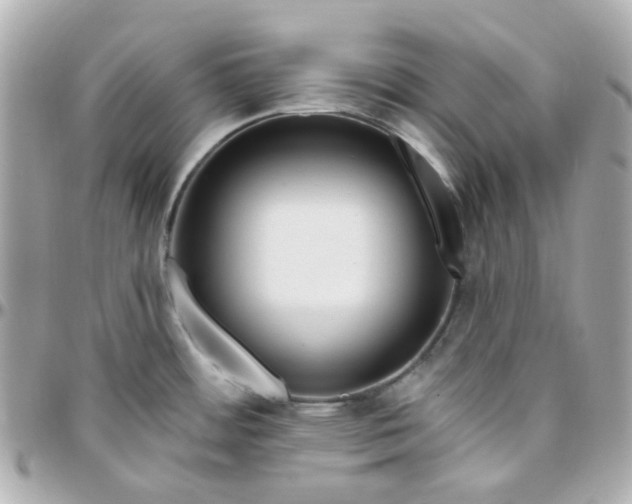 X0000095901484200802011117